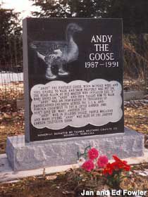 Hastings monument to Andy the Footless Goose